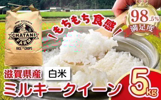
                  令和7年産 ミルキークイーン 白米 5kg 【V009W1】 米 5kg 白米 みるきーくいーん 国産 農家直送 環境こだわり お米 こめ おこめ 先行予約 農家直送 産地直送 滋賀県 近江八幡市
                