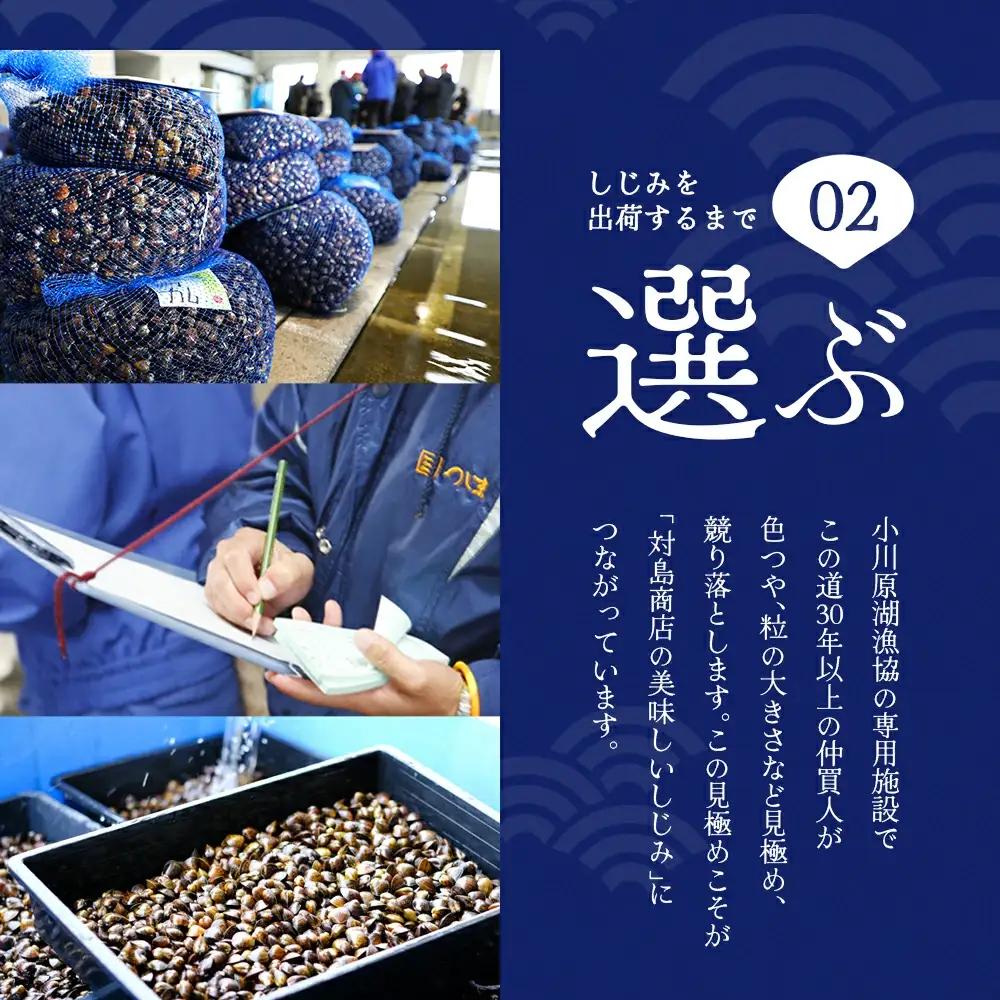 砂抜き済みで手間いらず！冷凍・小川原湖産大和しじみ 2kg（250g×8袋）　【02408-0074】
