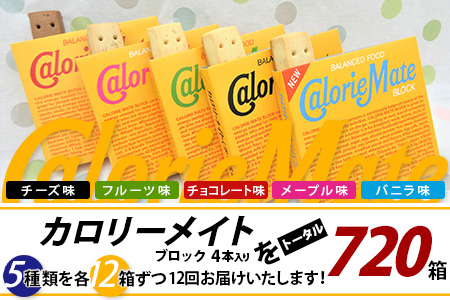 【12回定期便：合計720箱】 カロリーメイト ブロック 4本入り 5種類 各12箱 計60箱 【大塚製薬 定期便 チョコ バニラ メープル チーズ フルーツ 5大栄養素 徳島県 那賀町 非常食 常備