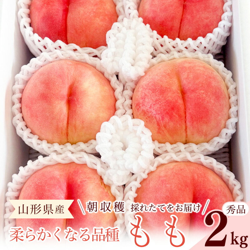 【ふるさと納税】先行予約 令和8年産 山形の桃 やわらかくなる白桃 秀品 2kg 品種おまかせ 2026年産 山形県産【2026年8月上旬頃〜9月下旬頃発送予定】※配送不可 沖縄・離島 果物 フルーツ 果実 産地直送 新鮮 贈答 ギフト 特産