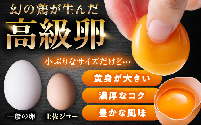 土佐ジロー鶏卵 40個 （10個×4パック）/ 高知 土佐 土佐ジロー 卵 たまご 玉子 鶏卵 卵焼き たまご焼き 玉子焼き 目玉焼き 生卵 卵かけご飯 TKG ギフト 贈り物 【とさやま養鶏場】 [