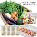 【ふるさと納税】真庭あぐり野菜セット 野菜10品・卵・ヨーグルト【配送不可地域：離島・北海道・沖縄県】【1549456】