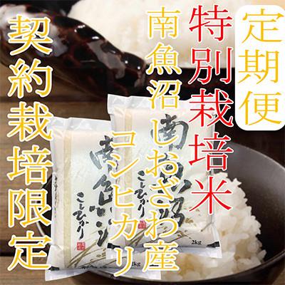 ふるさと納税 南魚沼市 【発送月固定定期便】【特別栽培米4Kg】生産者限定 南魚沼しおざわ産コシヒカリ全6回
