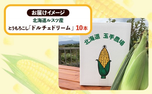 【8月～9月発送予定・数量限定】《生産者直送》北海道ルスツ産とうもろこし「ドルチェドリーム」10本（玉手農場）（オンライン決済限
