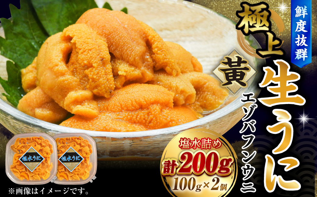 【鮮度抜群！特選・極上えぞバフンうに【黄】】塩水詰め100g×2個 ふるさと納税 うに F4F-0467
