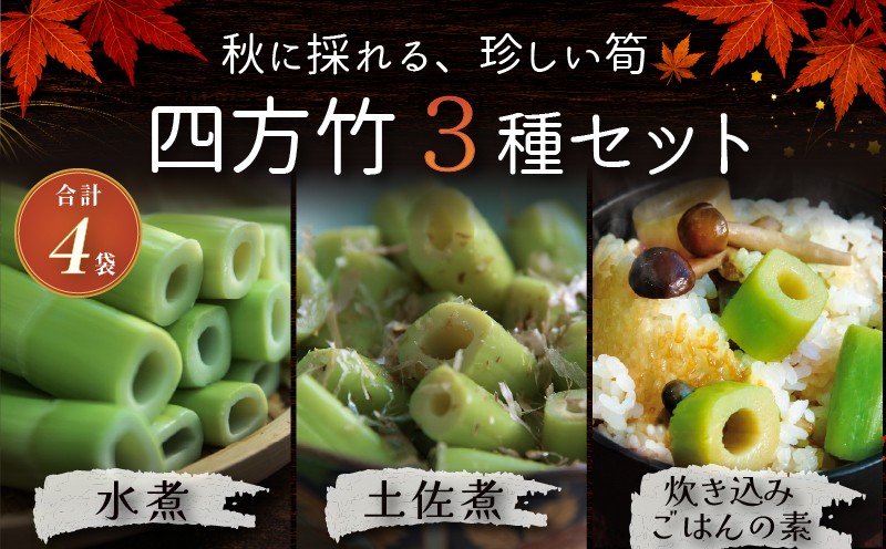 
                  【9月までの受付限定】国産 四方竹 づくし 3種セット 水煮 土佐煮 炊き込みごはんの素 計4袋 (2026年11月～発送) | 筍 たけのこ 竹の子 タケノコ 先行予約 珍味 希少 煮物 炊き込みご飯 天ぷら 炒め物 鰹だし 醤油 簡単調理 常温 高知 南国市
                