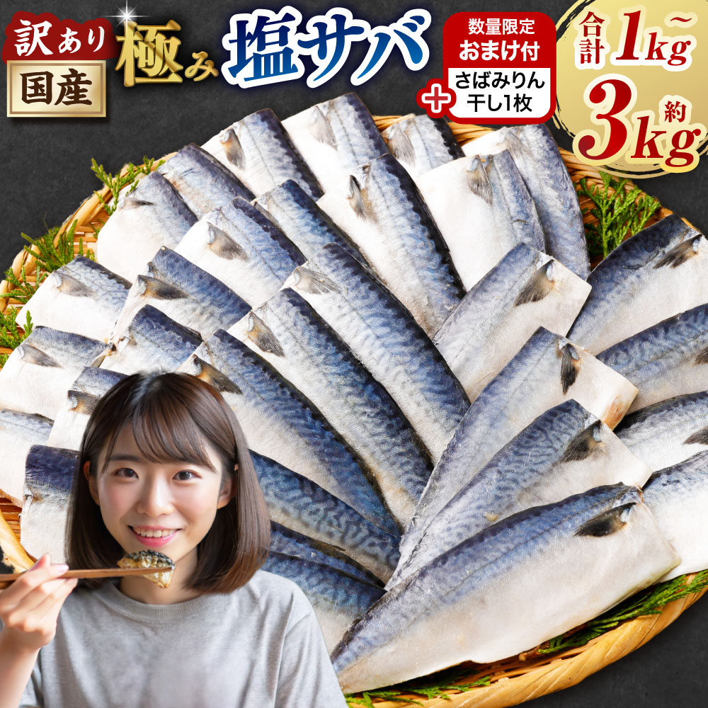 【ふるさと納税】＜選べる内容量＞【数量限定さばみりん干し1切付】訳あり 国産ふっくら 極み塩サバ 1切れ約50～150g 約1kg 約2kg 約3kg さば 鯖 魚 さかな サカナ 魚介類 味付け済 焼くだけ 簡単調理 冷凍 国産 茨城県 神栖市 送料無料