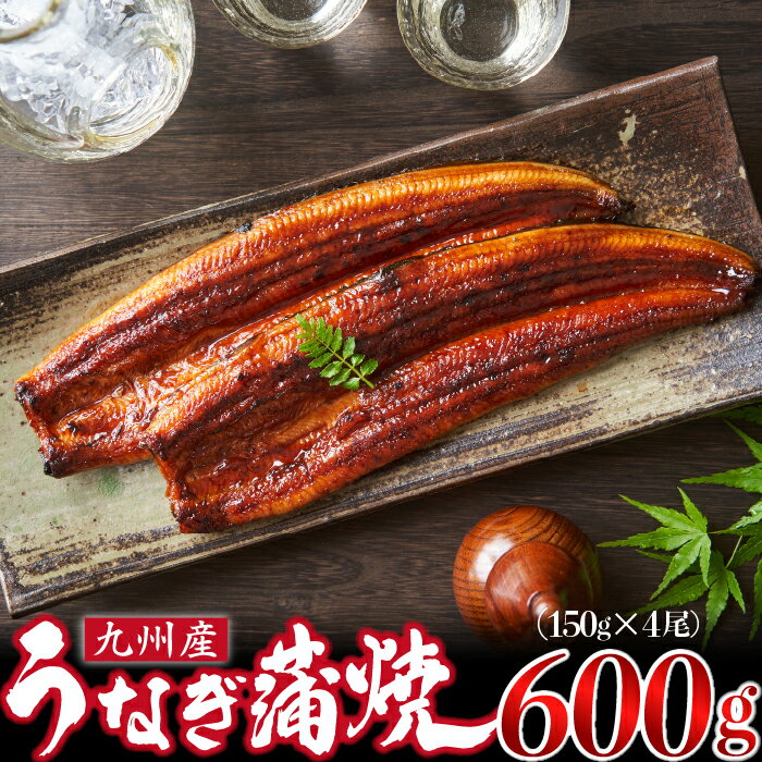 【ふるさと納税】＜いろは＞うなぎ蒲焼 国産 150g × 4尾 (有頭)　[M778-2] ウナギ 鰻 炭火焼き ふっくら 肉厚 うな重 ランキング 土用の丑の日 鹿児島県 人気 オススメ 宮若市