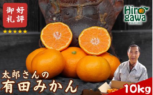 有田 みかん 10kg M・L  / 温州みかん 有田みかん 甘い 和歌山 柑橘 ※12月上旬〜1月上旬に順次発送【ymk004-10-mlA】