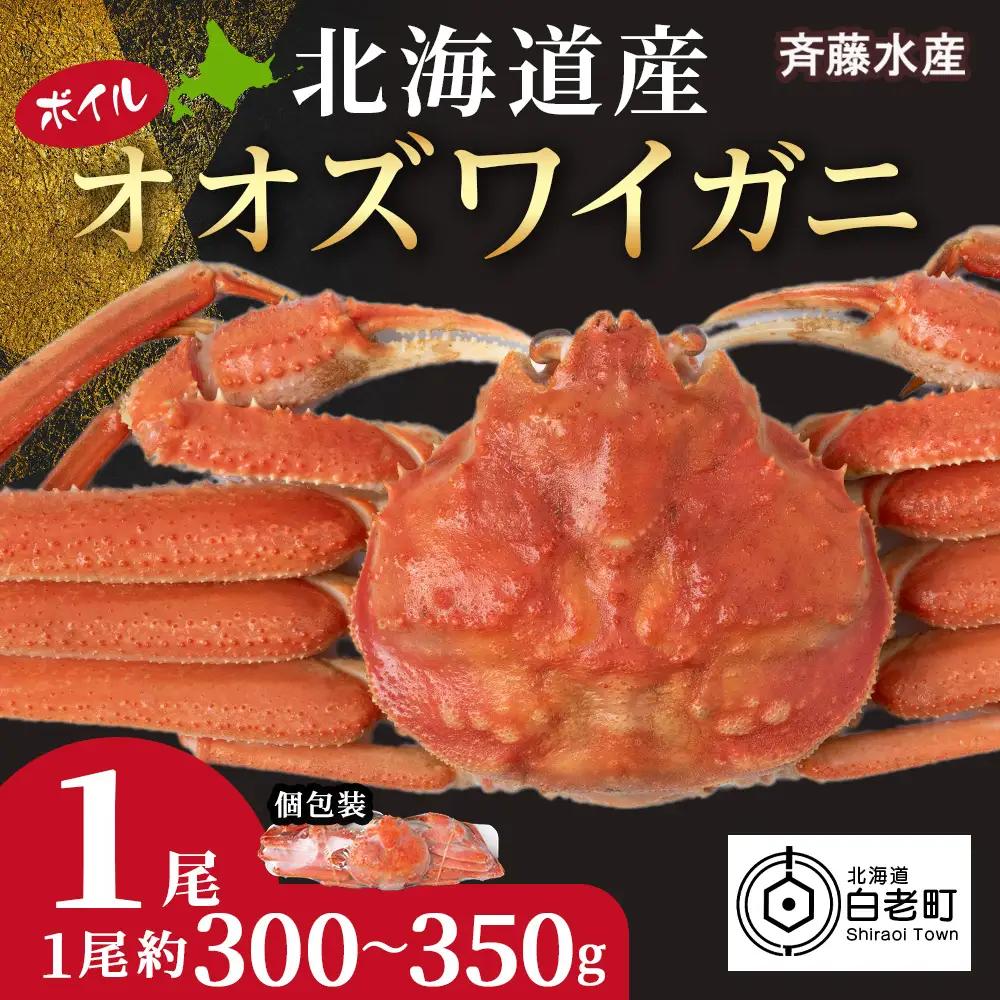 北海道産 オオズワイ 300g～350g ×1尾  オオズワイ 蟹 かに カニ ボイル AM218 