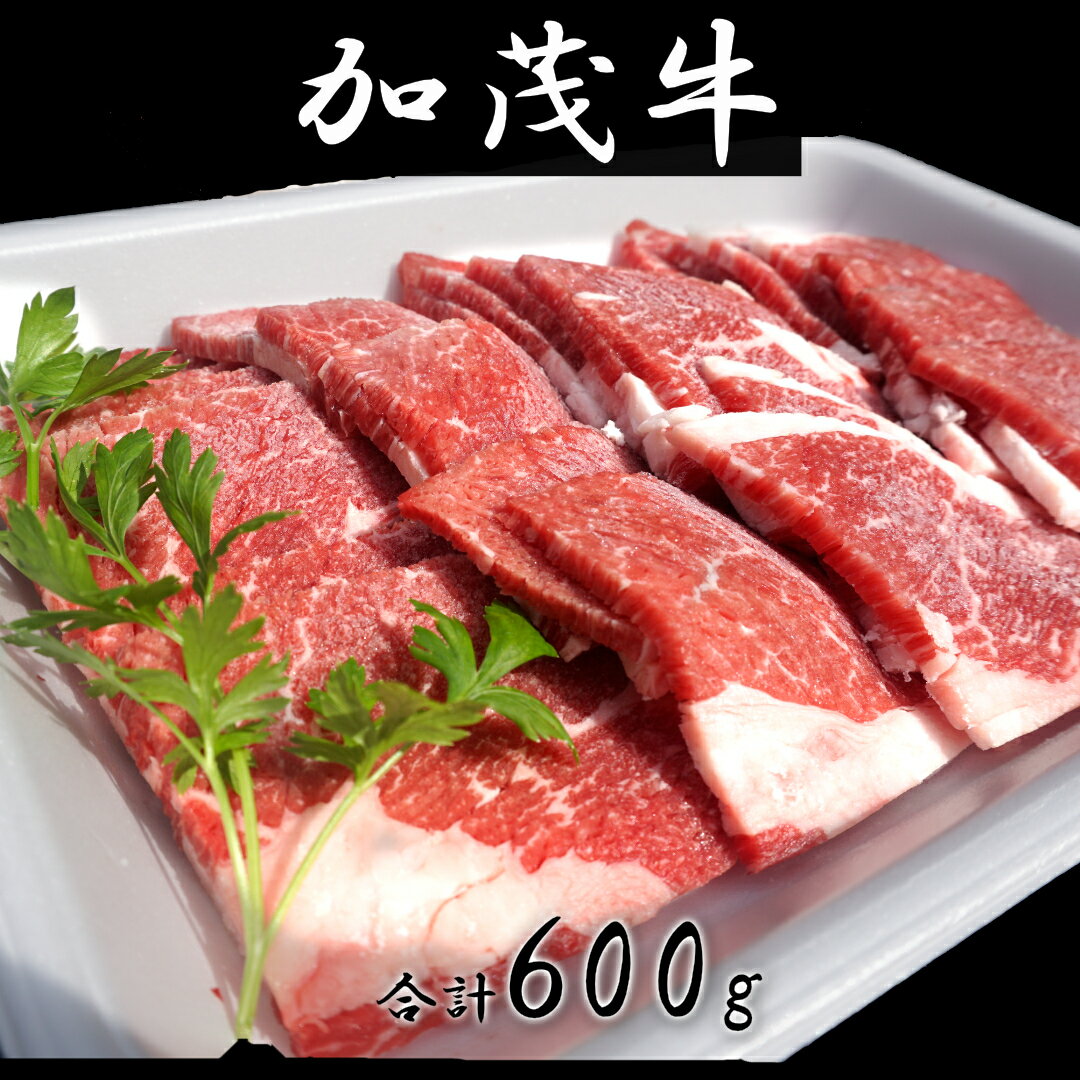 【ふるさと納税】J-16加茂牛