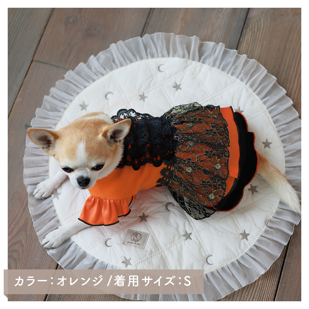 ブラックレースパーティドレス オレンジ (M) 犬服 ドッグウェア 小型犬【ココアトワ(cocoAtoi)】