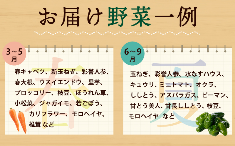 旬の新鮮 野菜セット（15種以上）定期便 全3回 おまかせ ピクルスの素付き ファミリー向け いずみピクルス NSW【毎月配送コース】 099Z278
