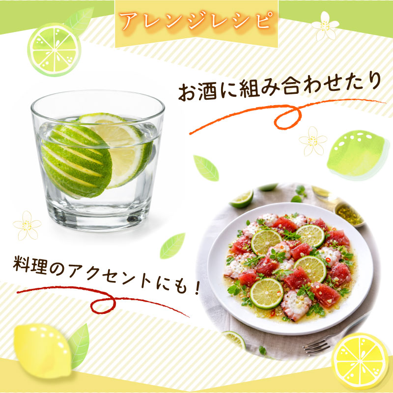 【農林水産大臣賞 先行予約 国産 レモン】選べる 内容量 グリーンレモン 2kg れもん 酸味 甘み 防腐剤不使用 大関農園 静岡県 牧之原市