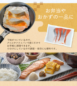 骨なし 無添加 銀シャケ 切身 50g × 12枚 (4枚入り3セット)  【nss508B】