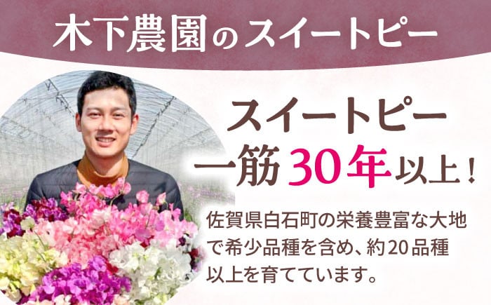 大切なあの人へのギフトにもおすすめ！