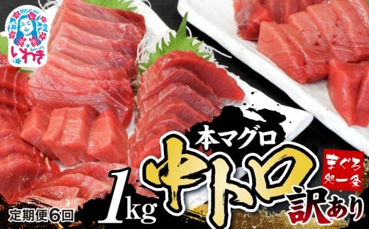 【定期便/計6回】本マグロ訳あり中トロ1kg（計6kg）|マグロ 中トロ  約6～8人前 本まぐろ 解凍レシピ付 鮪 海鮮丼 刺身 寿司 鉄火丼