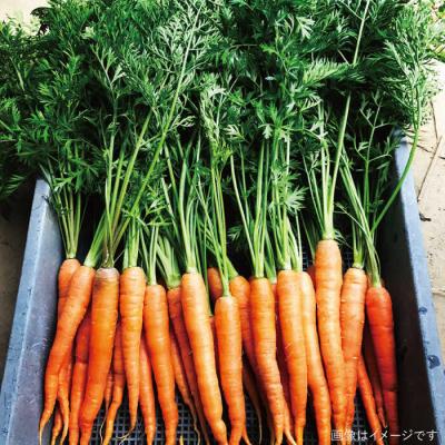 ふるさと納税 糸島市 バーベキュー・グリル用朝採れ野菜特選セット 福岡県糸島産(7-8人分) [AGE039] |  | 03