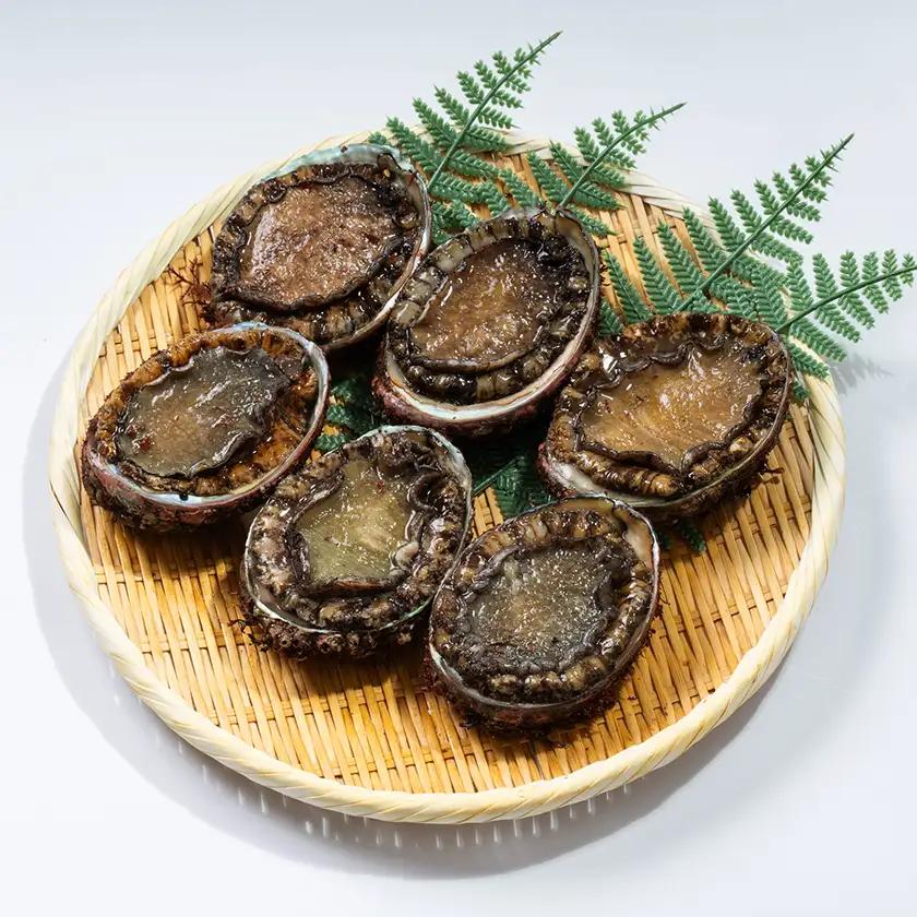 三陸産　天然蝦夷あわび(冷凍)約1kg　6～8個(捌き方・レシピ付き)_魚介・海産物 鮑（アワビ） 貝 あわび_【配送不可地域：離島】【1589193】