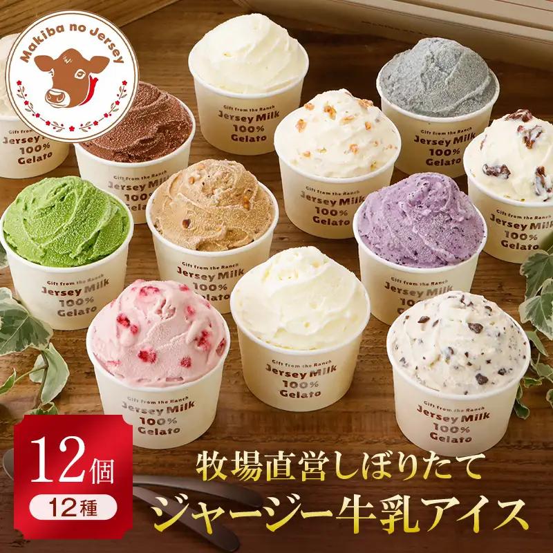 【ジャージー牛乳使用】まきばのジャージーアイス人気の12種12個セット F21C-036