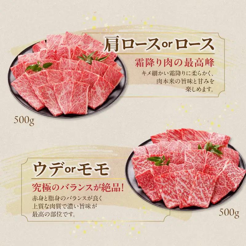 畜産農家応援! 宮崎牛焼肉2種セット500g×2パック_19-N2-002-1000_(都城市) 宮崎牛 肩ロース又はロース ウデ モモ 焼肉 500g