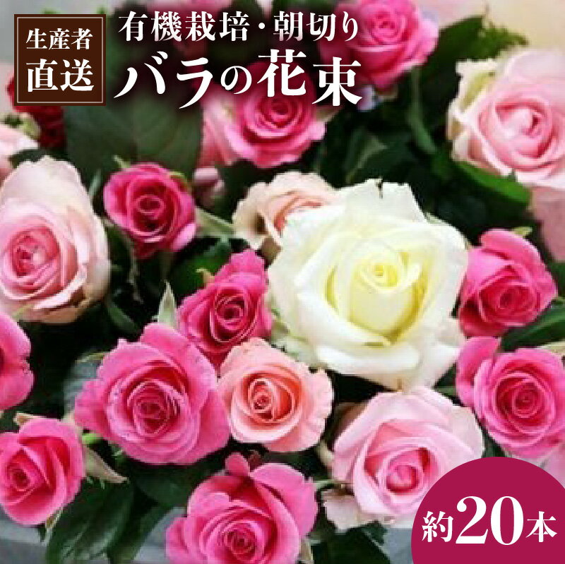 【ふるさと納税】埼玉県白岡市 朝切りバラの花束 約20本 赤・ピンク・黄色ミックス 有機栽培 生産者直送 小山農園 | 薔薇 生花 ブーケ 花持ち 約50～60cm 誕生日 記念日 母の日 ギフト プレゼント 贈り物 自宅用 インテリア 国産 切り花