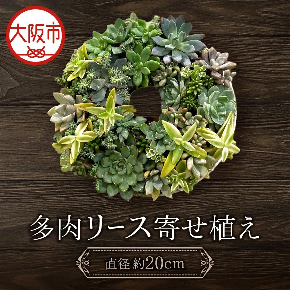 【にじたま園芸部】多肉のリース寄せ植え【直径約20CM】_OS110-0001