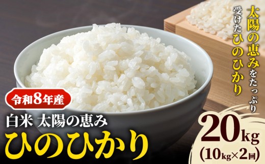 【令和8年産 予約受付】 岡山県産 ひのひかり 笠岡産 10kg×2回（計20kg） 太陽の恵み （白米）奥山営農《10月下旬頃出荷》 st-p