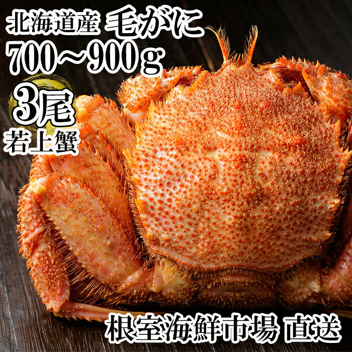 【ふるさと納税】根室海鮮市場＜直送＞ボイル毛がに700～900g×3尾(若上蟹) D-28066