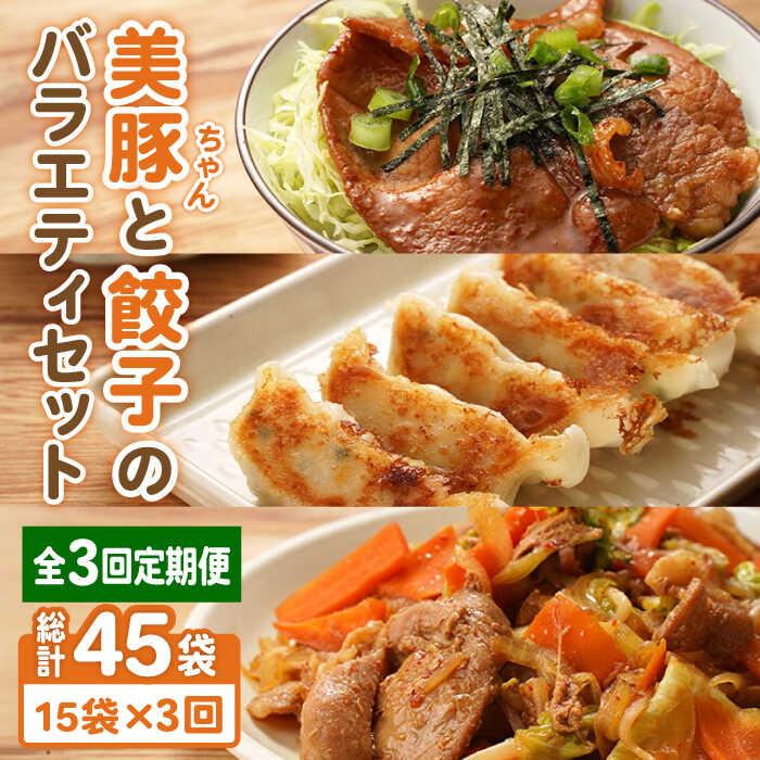 【ふるさと納税】【全3回定期便】美豚ちゃんと餃子のバラエティセット おかず レトルト 簡単 （3種×5袋 計15袋詰合せ）五島市/長崎フードサービス [PEL028] 冷凍 餃子 中華 ぎょうざ ギョウザ 簡単 調理 豚肉 豚 レトルト パック 小分け 国産