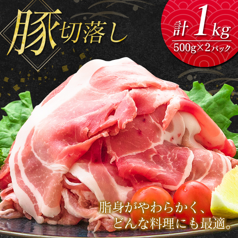 南国みやざき3kgセット＜豚肉1kg+鶏肉2kg＞【A165】