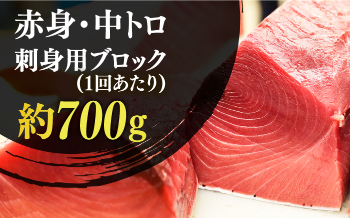 【全12回定期便】【ながさき水産業大賞受賞！！】五島列島産 養殖 生本かみまぐろ 赤身 中トロ ブロック 計約700g【カミティバリュー】 [RBP069]