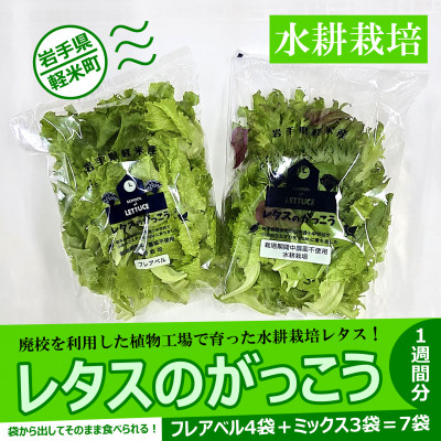
                  ＜植物工場で育ったレタス＞「レタスのがっこう」1週間分(計7袋)【1111022】
                