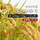 【ふるさと納税】令和6年産／お米定期便／12ヵ月　しまね川本 こしひかり 10kg (計120kg） 島根県 川本町産 コシヒカリ 藤屋 石見米