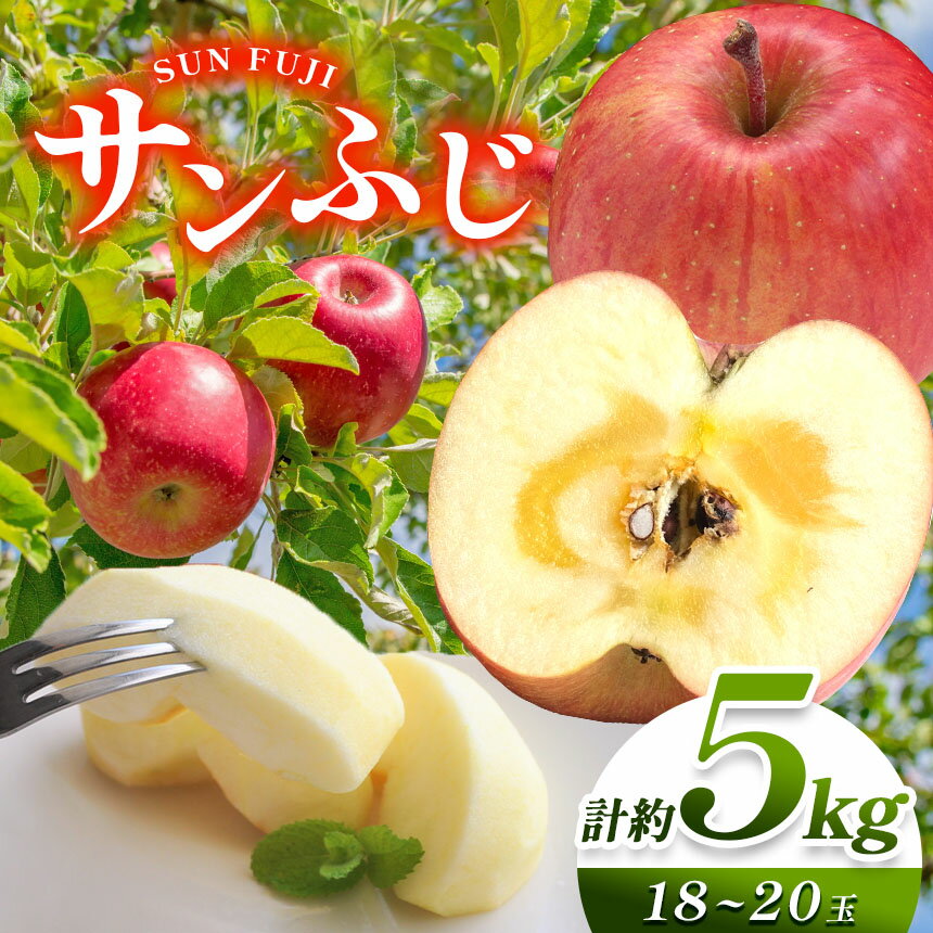 【ふるさと納税】【2025年 先行予約】サンふじ 計約5kg （18～20玉）【11月中旬頃より発送予定】| 果物 くだもの フルーツ 林檎 りんご リンゴ サンふじ 長野県 塩尻市