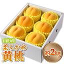 【ふるさと納税】山形産 柔らかめ 「黄桃」 秀品 約2kg (5玉〜8玉)【令和7年産先行予約】 FS24-082 くだもの 果物 フルーツ 山形 山形県 山形市 2025年産