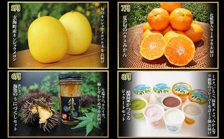 ～Premium GENKAI～定期便【毎月1回全12回配送】