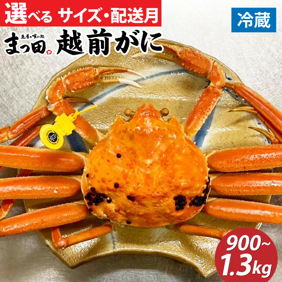 【ふるさと納税】【先行予約】越前ガニ ズワイガニ 姿【11月～3月発送】【900g～1.3kg ×1杯】まっ田の越前がに [J-007007] / / 福井県 福井 オス 雄 ズワイガニ ボイル 冷蔵 越前ガニ 越前がに 越前カニ ずわいがに ずわい蟹 かに カニ 蟹 指定 茹で すがた 姿 国産