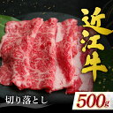 【ふるさと納税】 近江牛切り落とし　500g ブランド牛 牛肉 高級 人気 国産 楽天 寄付 返礼品 お歳暮 ギフト プレゼント お祝い 贈り物 ふるさと納税 滋賀 近江 東近江 A-F20 有限会社　常松商店