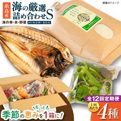 ふるさと納税 糸島市 全12回定期便 糸島産 魚 米 野菜 果物 厳選詰め合わせ MINORI BOX S[AOP022]