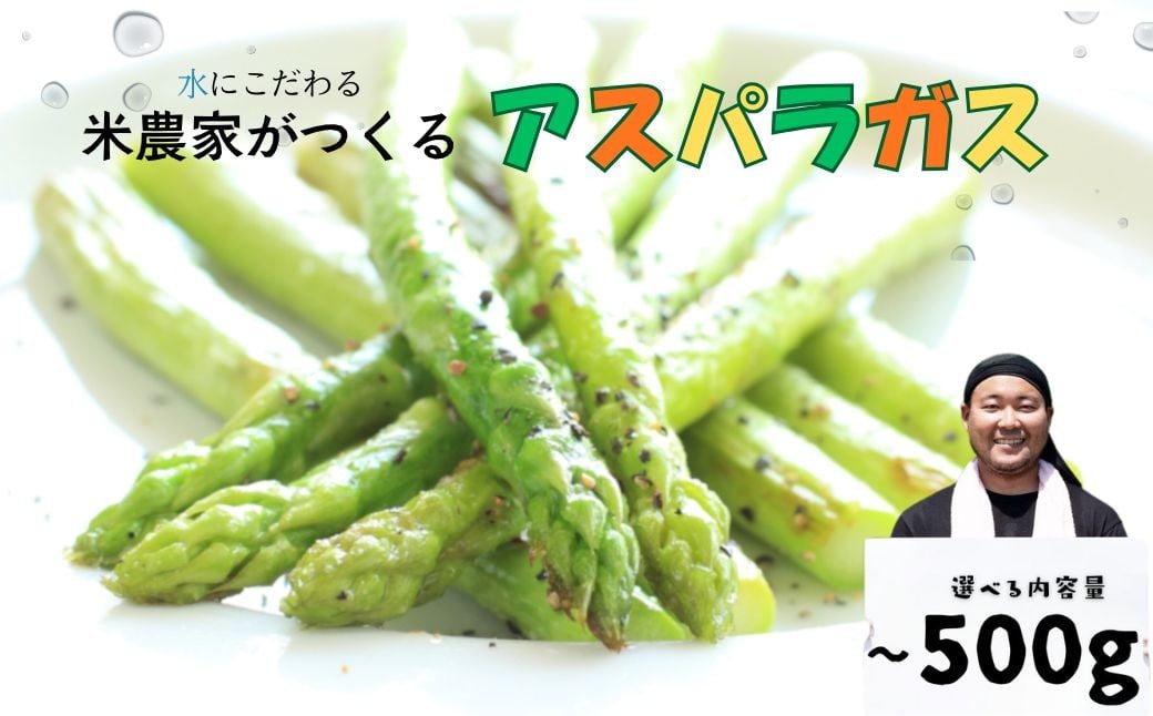 
            数量限定《先行予約》令和8年産 6月下旬～順次発送 米 農家がつくる！ 水にこだわった朝採れアスパラガス サイズ選べる 内容量選べる M 200g / M~L 500g / L~2L 500g 野菜 春野菜 夏野菜 アスパラ 朝採れ 訳あり わけあり 不揃い お米 農家 池本農園 5000円 10000円 1万円
          