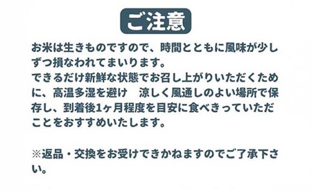 令和7年産新米　淡路島産キヌヒカリ　玄米5kg