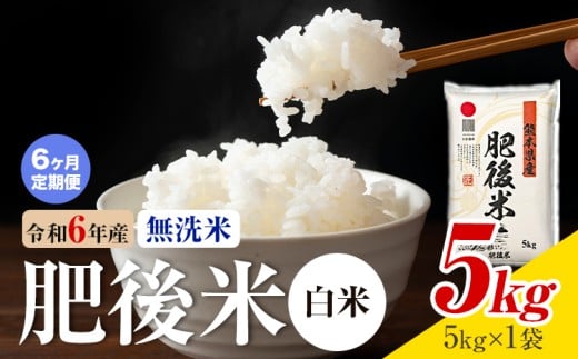 【6ヶ月定期便】熊本県産 肥後米 無洗米 白米 5kg 1袋5kg 米 お米 令和6年産 九州産 熊本県産 送料無料《お申込み翌月に出荷予定》 無洗米 白米 米