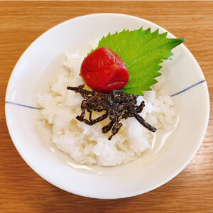 お試し 極上TKG用宗田節2本セット【卵かけご飯約8～10杯分】（TVで紹介されました）かつお節 かつおぶし 鰹節 宗田節 トッピング 話題 人気 美味しい 卵かけごはん 専用 ごはん【R01327】