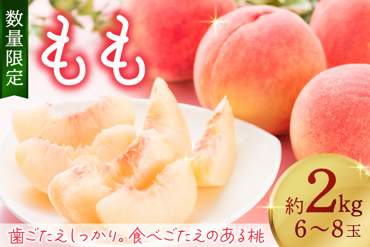 
            【先行予約／数量限定】京都丹後産 桃 約2kg（6～8玉）（2025年7月中旬～発送）＜旬のおすすめ品種をお届け＞　歯ごたえのある かための桃 桃 もも モモ 期間限定 フルーツ くだもの 果物　AM00673
          