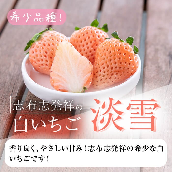 〈先行予約受付中！〉鹿児島県産いちご！特別栽培農産物 いちごの村から朝摘み「淡雪」8Pセット(計2kg・約270g×8P) e0-047