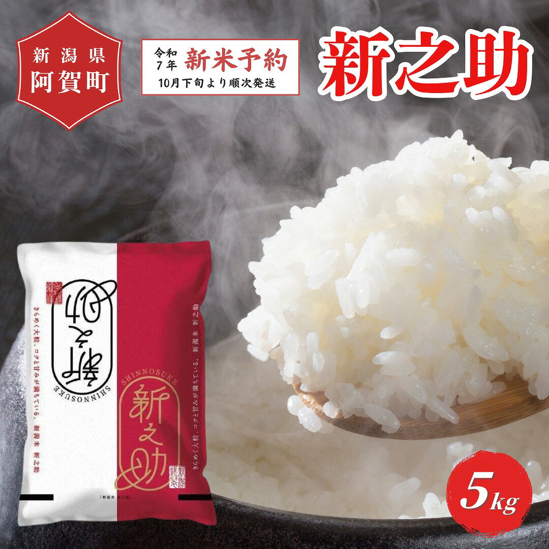 【ふるさと納税】 《新米予約》 米 5kg 新潟県産 「津川産 新之助」 令和7年産 5kg × 1袋 | 白米 精米 しんのすけ 送料無料 お取り寄せ お米 ※2025年10月下旬頃より順次発送
