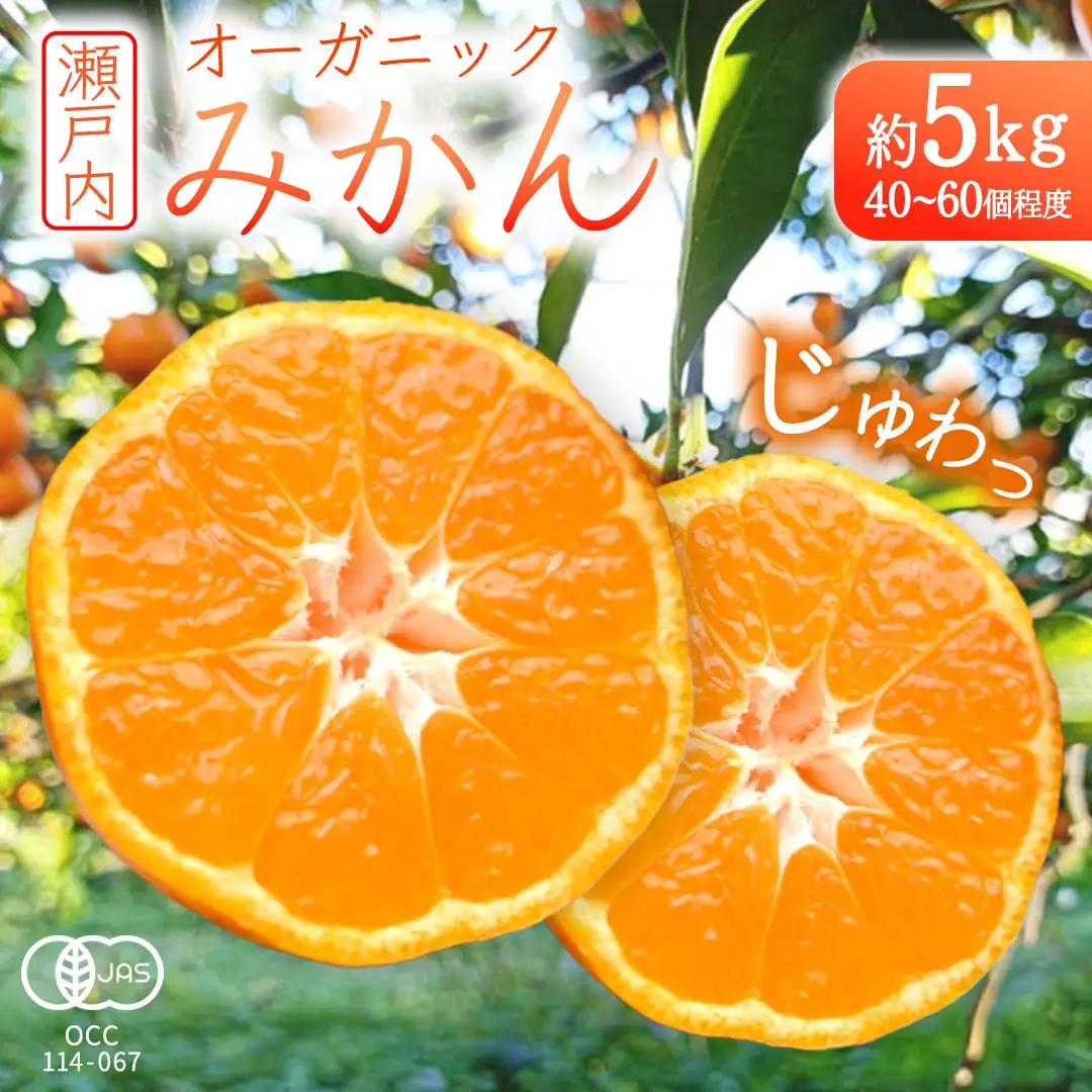 オーガニック 瀬戸内みかん 先行予約 有機JAS認証 中原観光農園 約5kg (40～60個程度) 国産 広島 大崎上島町産 【 2026年 10月 中旬～1月 発送 】
