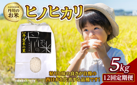 B01024　【定期便】丹生米の里 丹川のお米 ヒノヒカリ白米 5kg×12回
