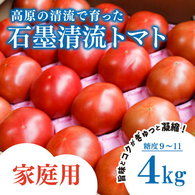 【ふるさと納税】【家庭用】石墨清流 トマト 4kg｜糖度9～11度 そのままでも 美味しい 久万高原町 トマト とまと 自然栽培 野菜 カレー トマトソース 濃縮 ヒナタ 安心 酸味 甘味 清流 料理 農家 旨み 新鮮 煮込み ※離島への配送不可 ※2026年7月下旬頃より順次発送予定
